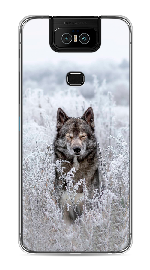 

Чехол Awog на Asus Zenfone 6 ZS630KL "Волк в поле", Белый;черный, 43950-1