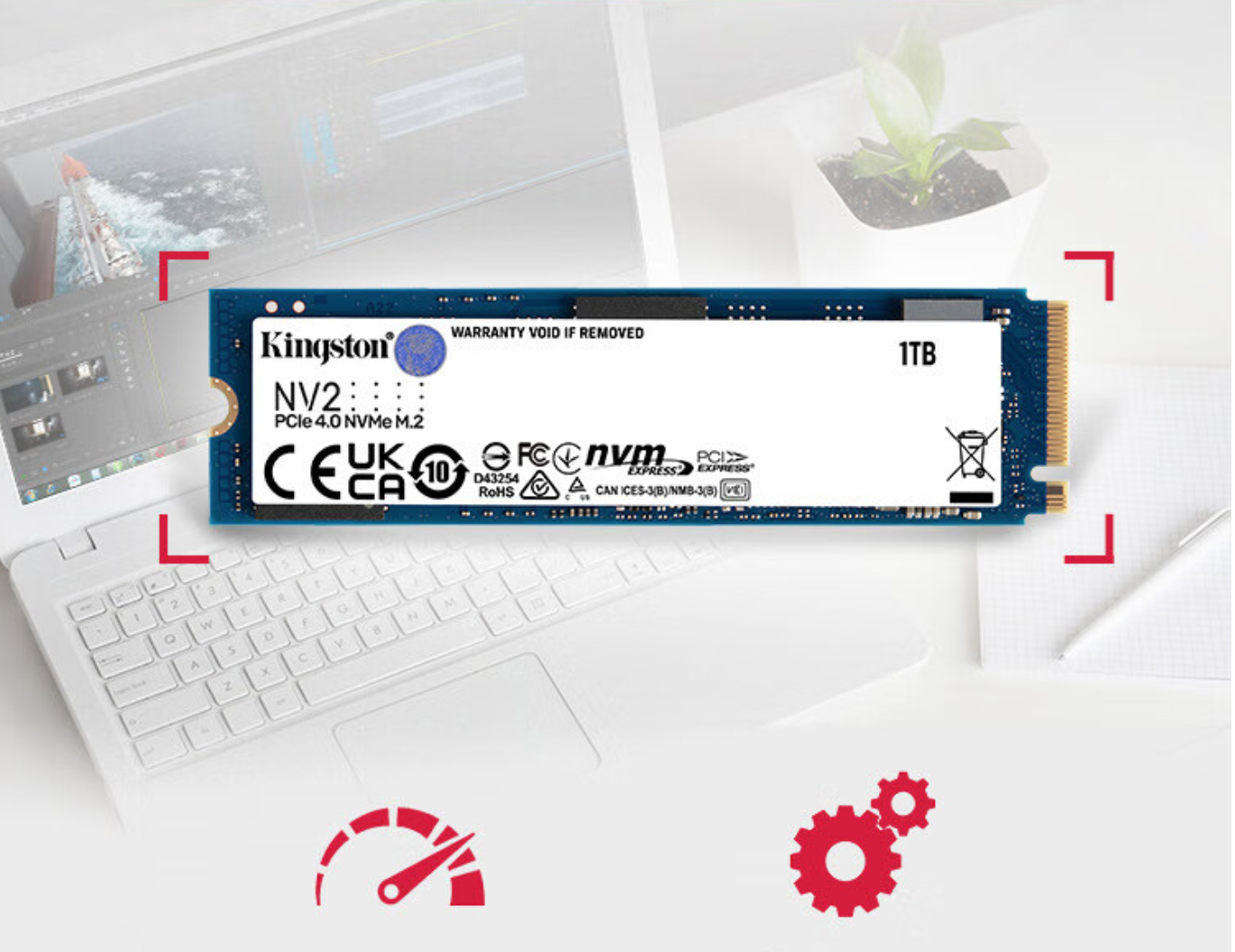 

SSD накопитель Kingston SNV2S/1000G M.2 2280 1 ТБ (100036659879), SNV2S/1000G