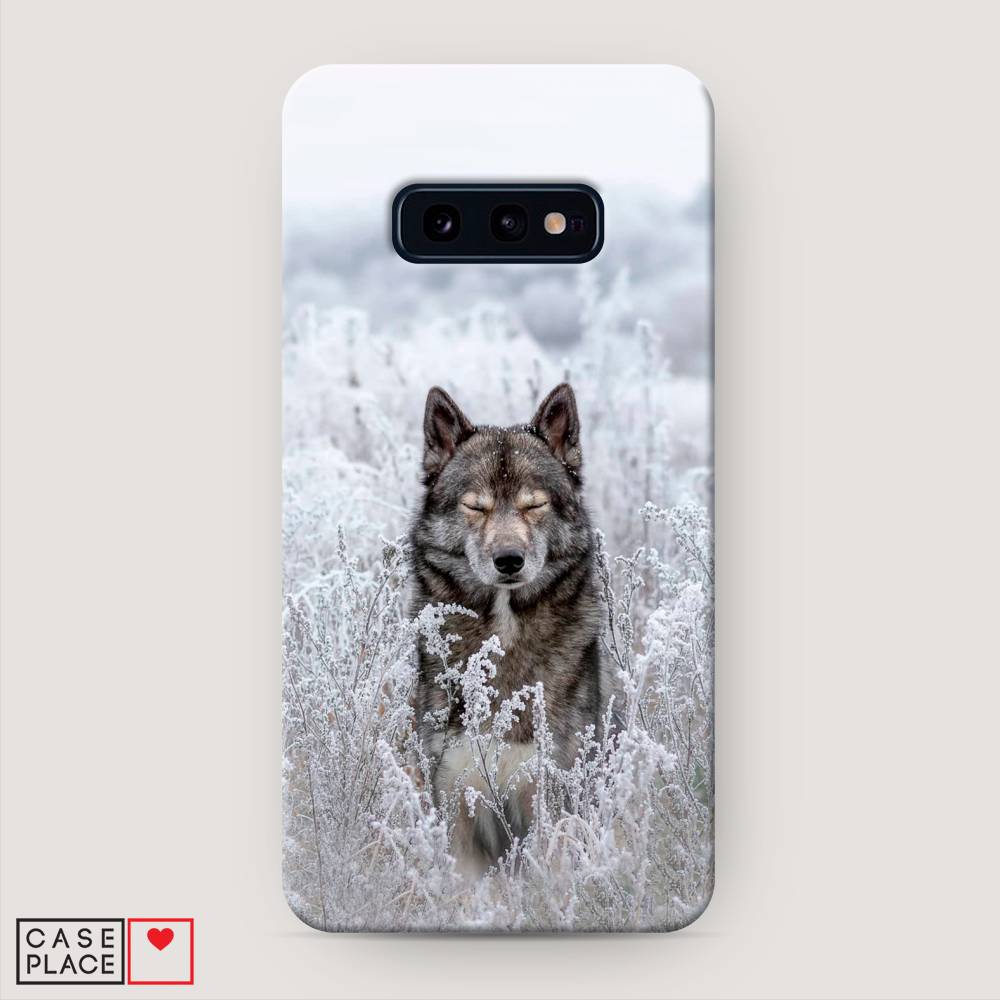 

Пластиковый чехол "Волк в поле" на Samsung Galaxy S10E, 27220-1