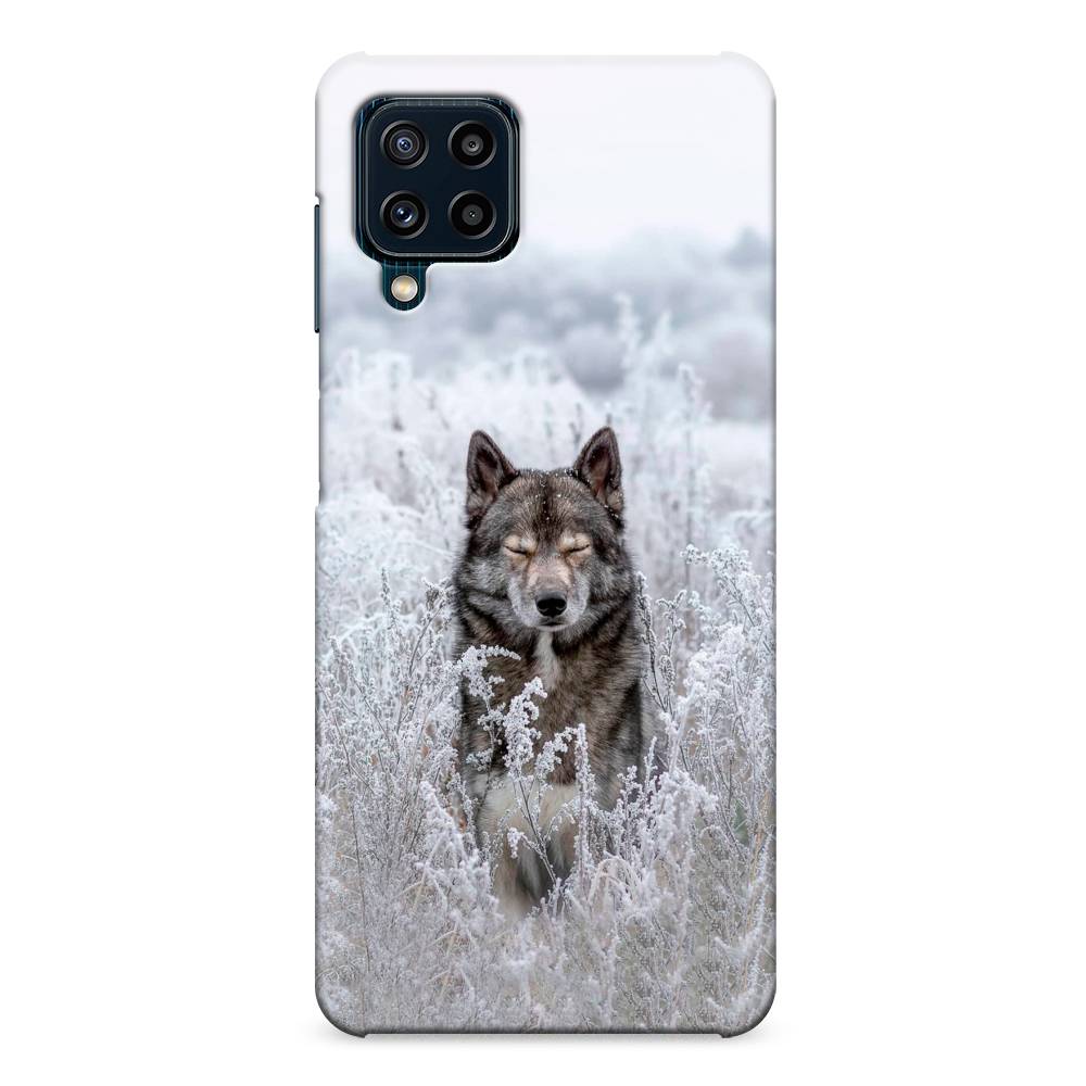 

Пластиковый чехол "Волк в поле" на Samsung Galaxy M32