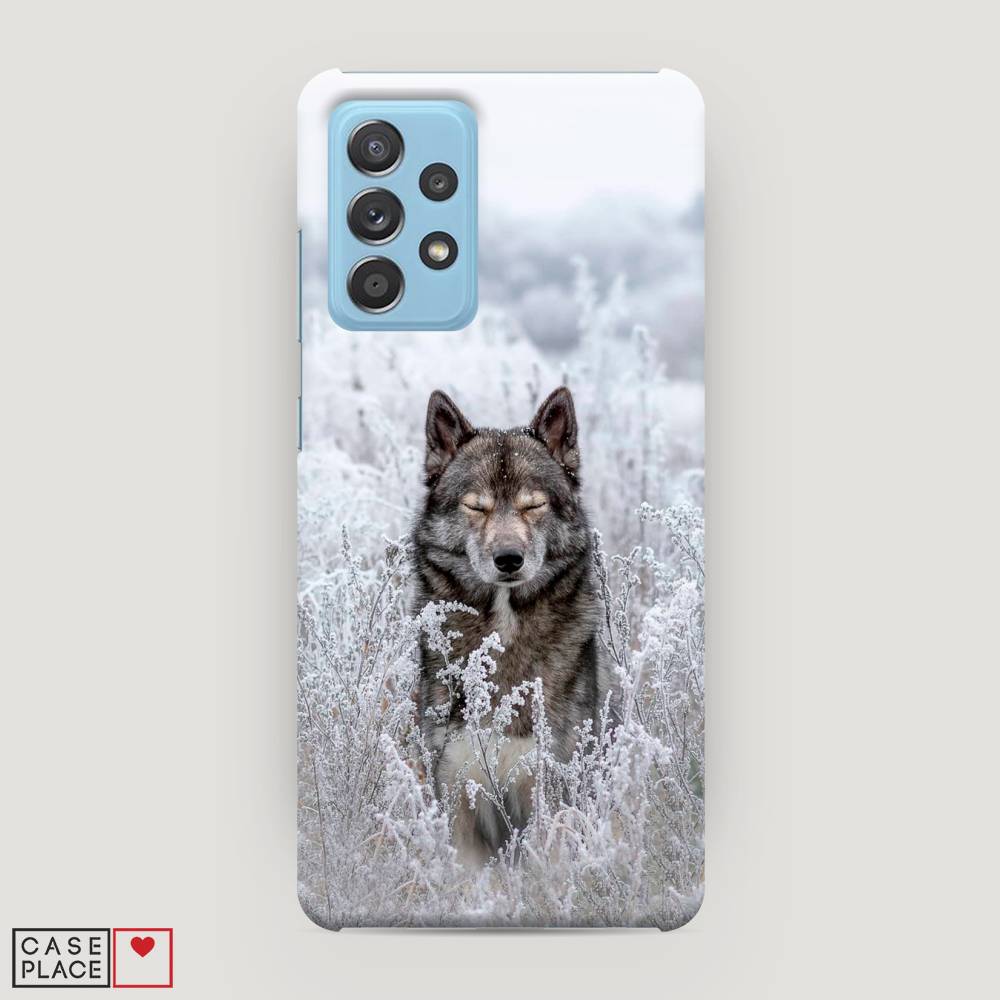 фото Пластиковый чехол "волк в поле" на samsung galaxy a52s awog