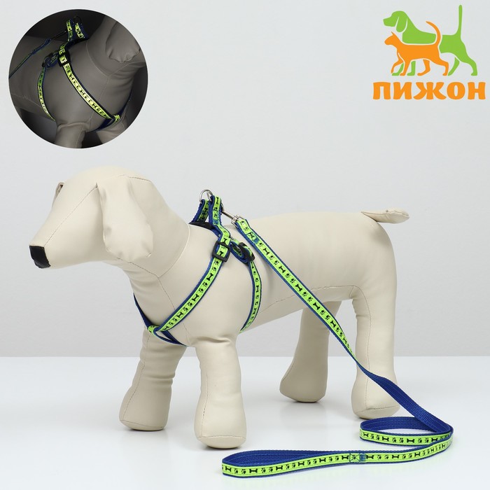 

Поводок и шлейка для собак Пижон, синий, нейлон, обхват груди 36-52 см, 120х1,5 см, Зеленый;синий