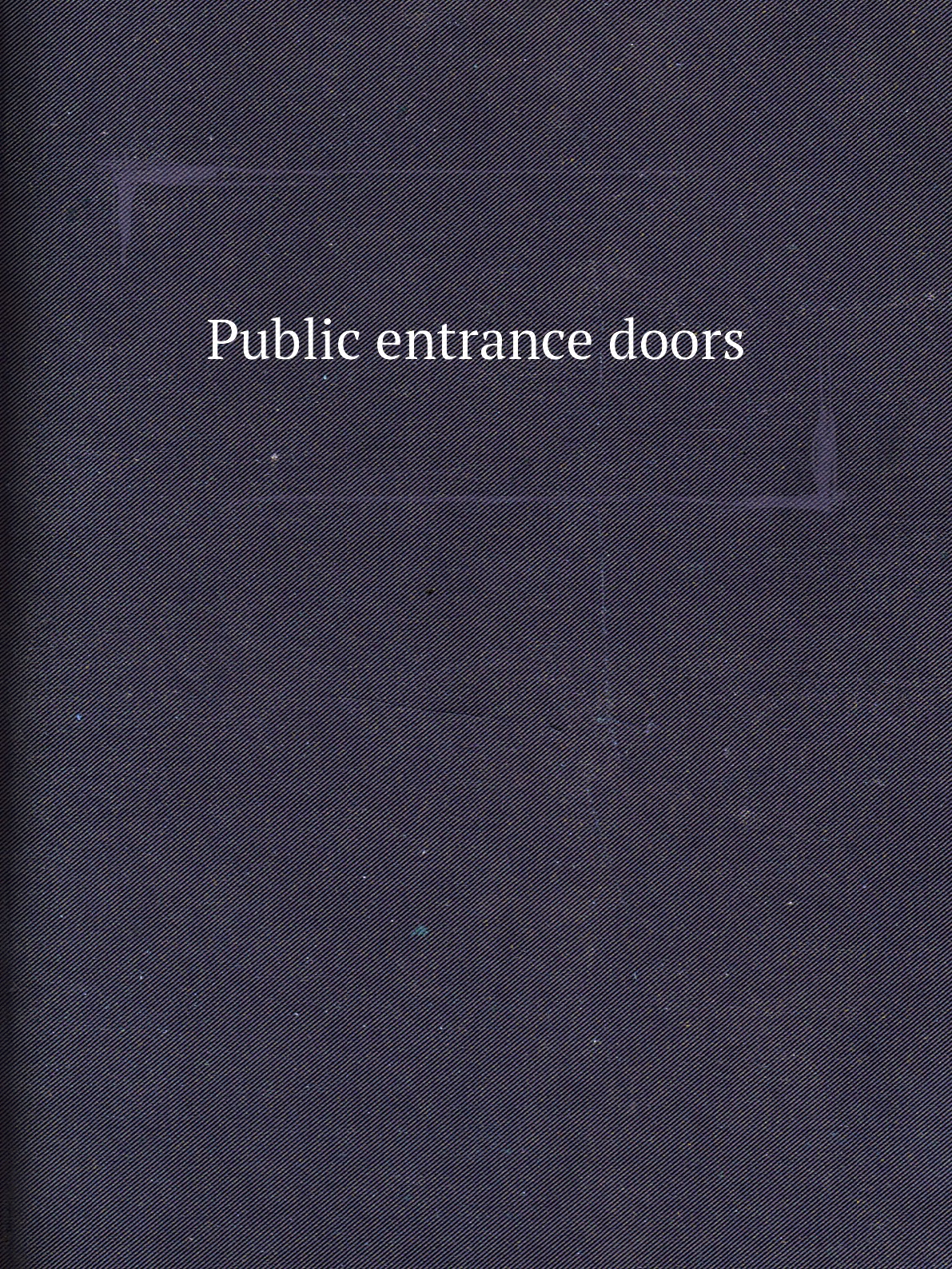

Public entrance doors