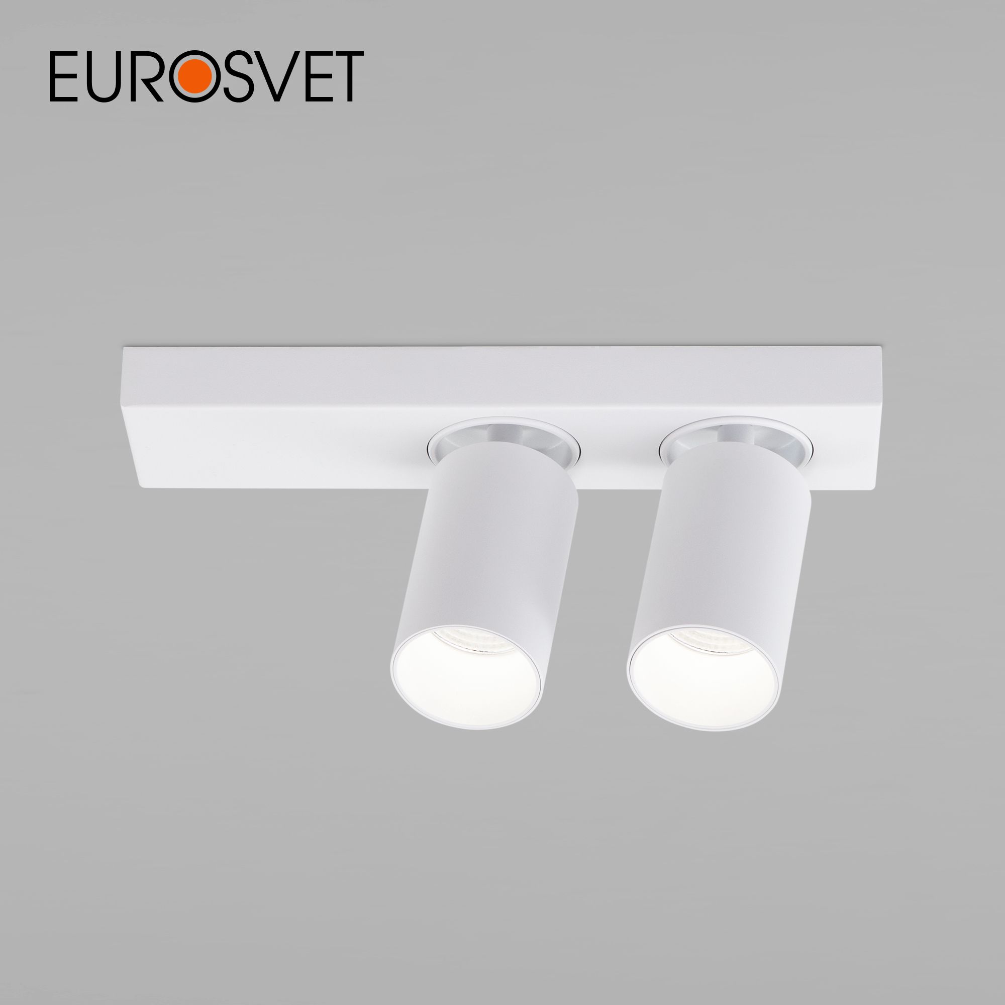Наклад. светодиодный светильник Eurosvet Flank 20139/2 LED белый 2 поворотных спота 4200 К