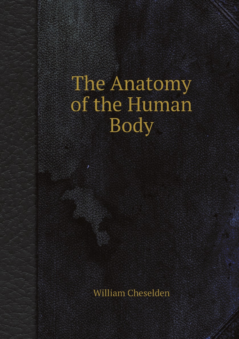 

The Anatomy of the Human Body