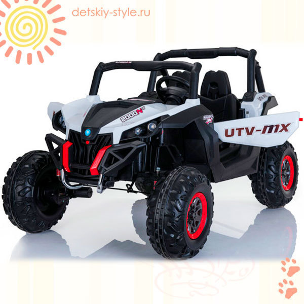 

XMX 603 4WD (Багги)