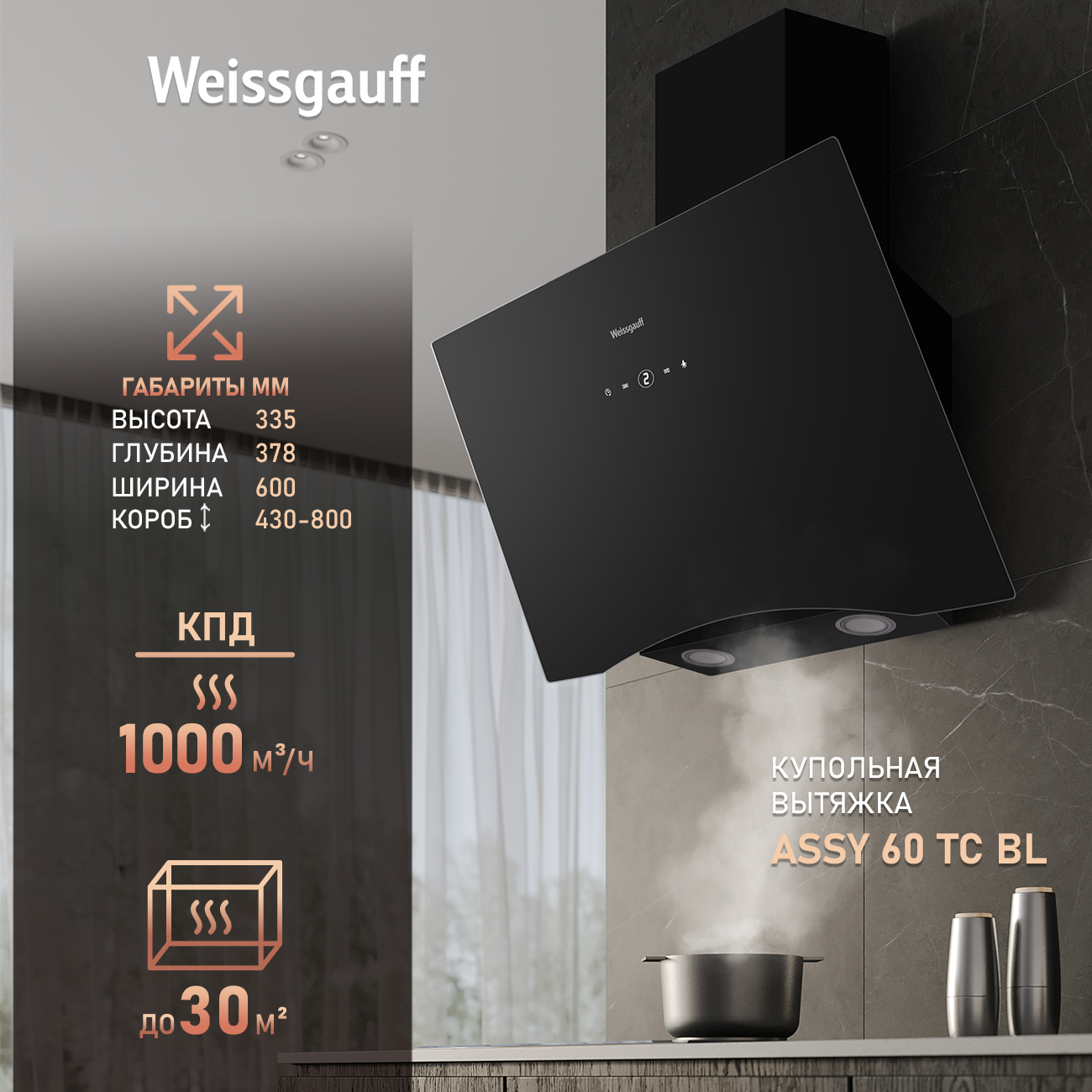 

Вытяжка настенная Weissgauff ASSY 60 TC BL черный, ASSY 60 TC