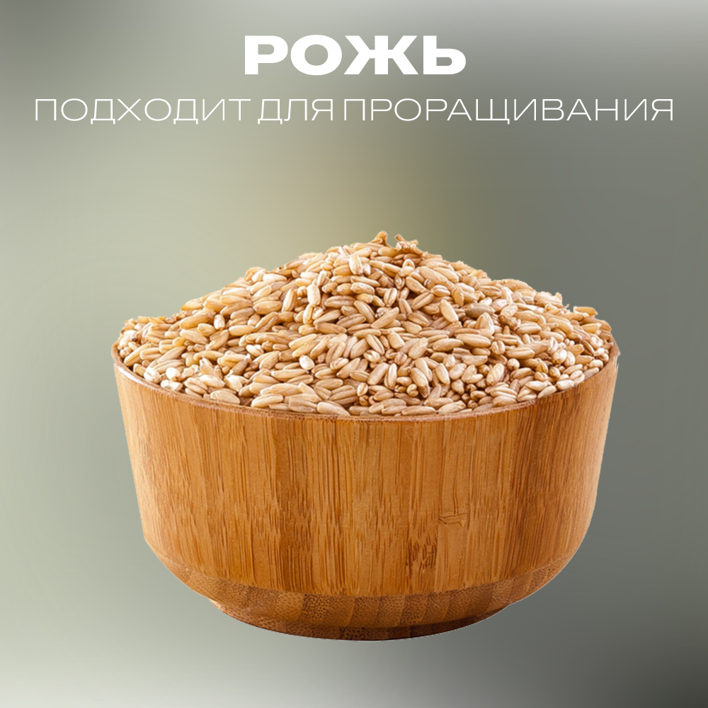 

Рожь для проращивания Терем Здравия натуральная, 1 кг, Рожь