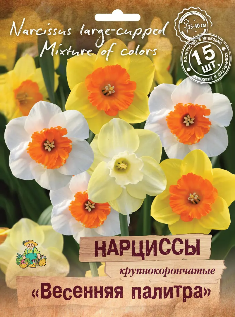 

Луковицы нарцисс Микс Поиск SSS-88659142 15 шт.