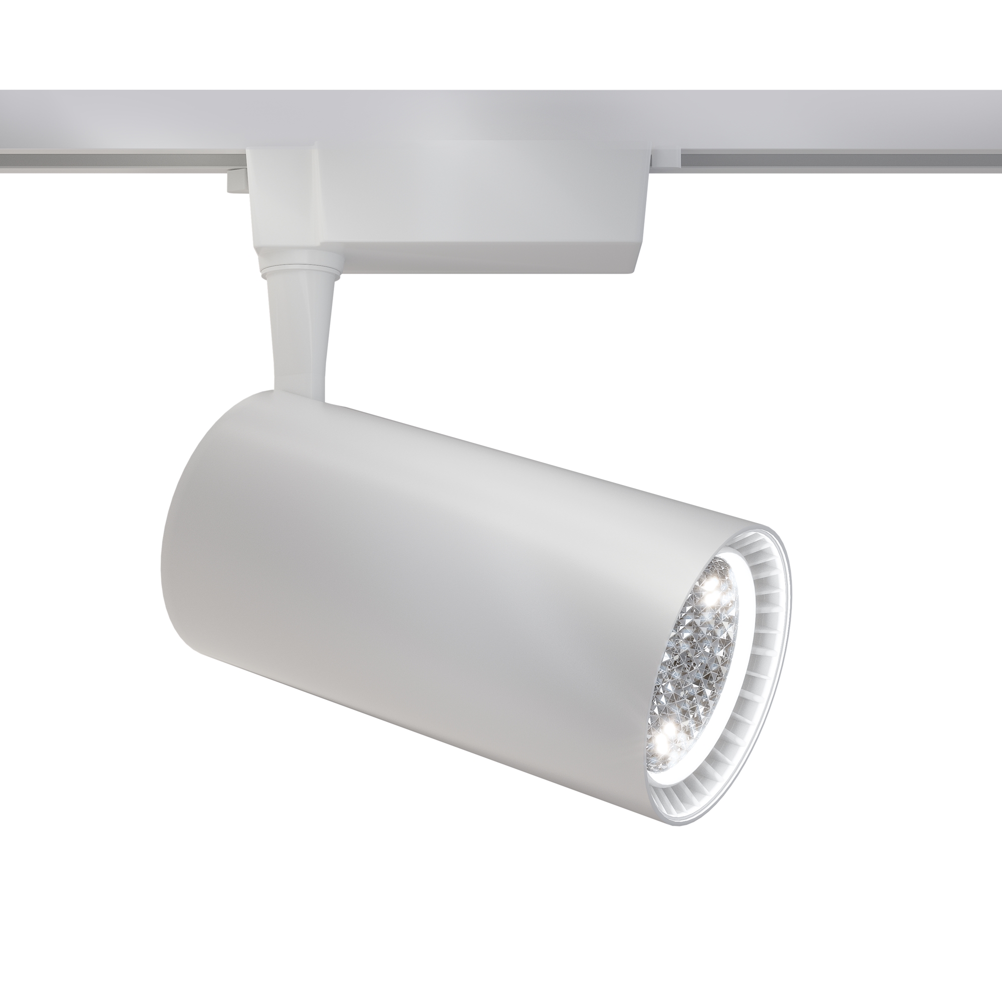 

Трековый светильник Maytoni Technical Vuoro TR003-1-36W3K-S-W