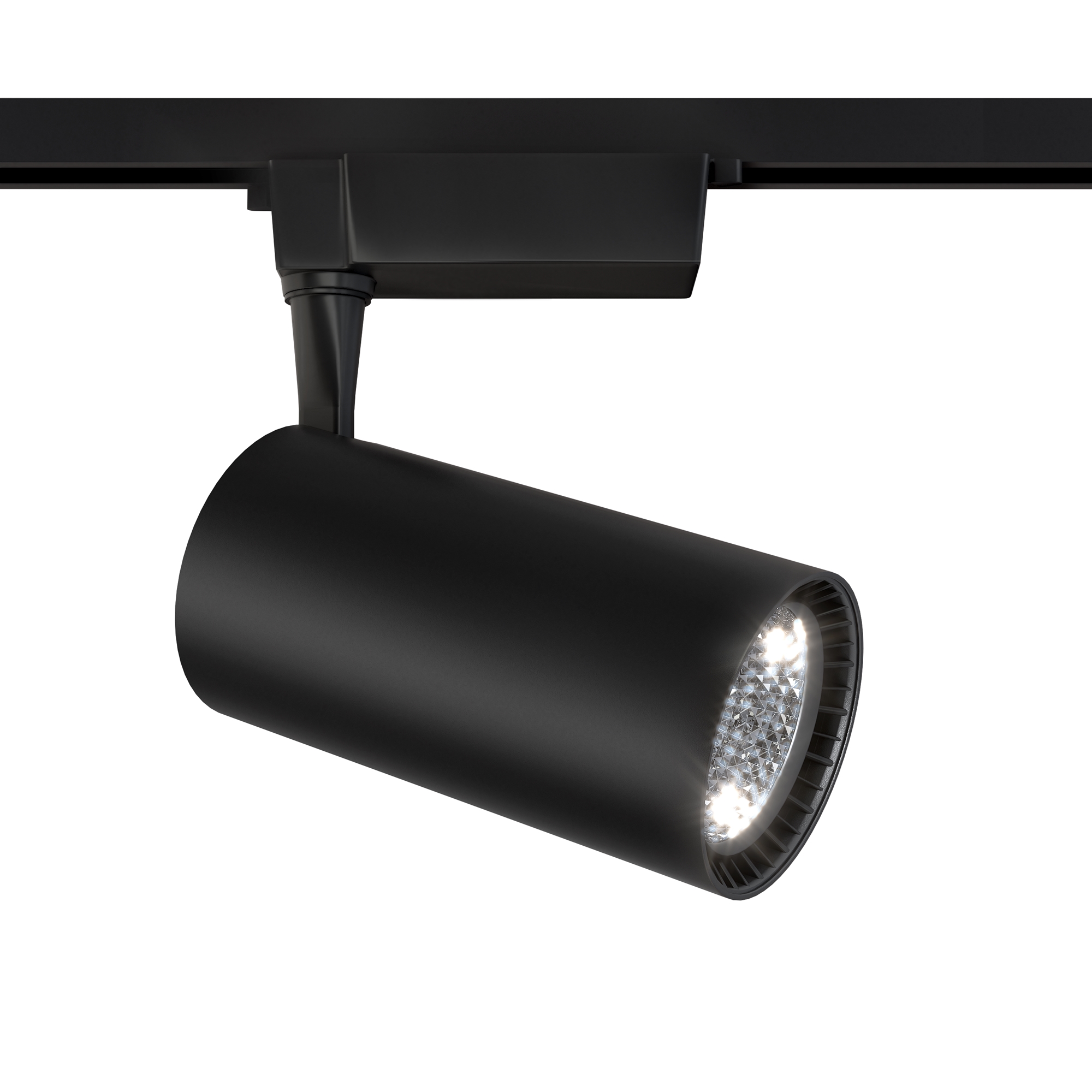 

Трековый светильник Maytoni Technical Vuoro TR003-1-36W3K-S-B