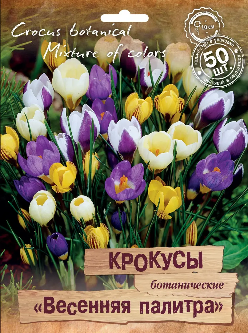 

Саженцы лук Весенние Поиск SSS-88658977 50 шт.