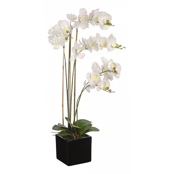 Искусственный цветок Engard 80 см Белая орхидея YW-36