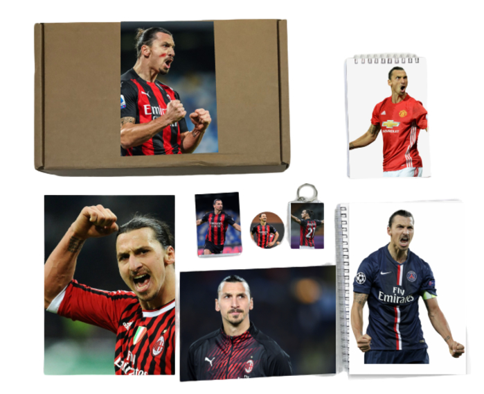 

Бокс GOODbrelok Златан Ибрагимович, Zlatan Ibrahimovic №8