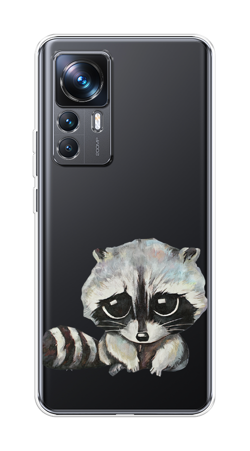 

Чехол на Xiaomi 12T Pro "Большеглазый енот", Серый;черный;прозрачный, 315750-1