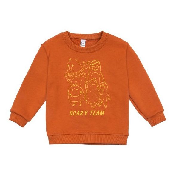 

Свитшот детский Bossa Nova 210О21-461-А цв. кирпичный р. 98, 210О21-461-А