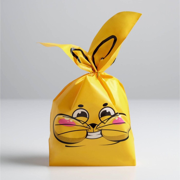 

Мешок подарочный «Кот», 16 × 26 см