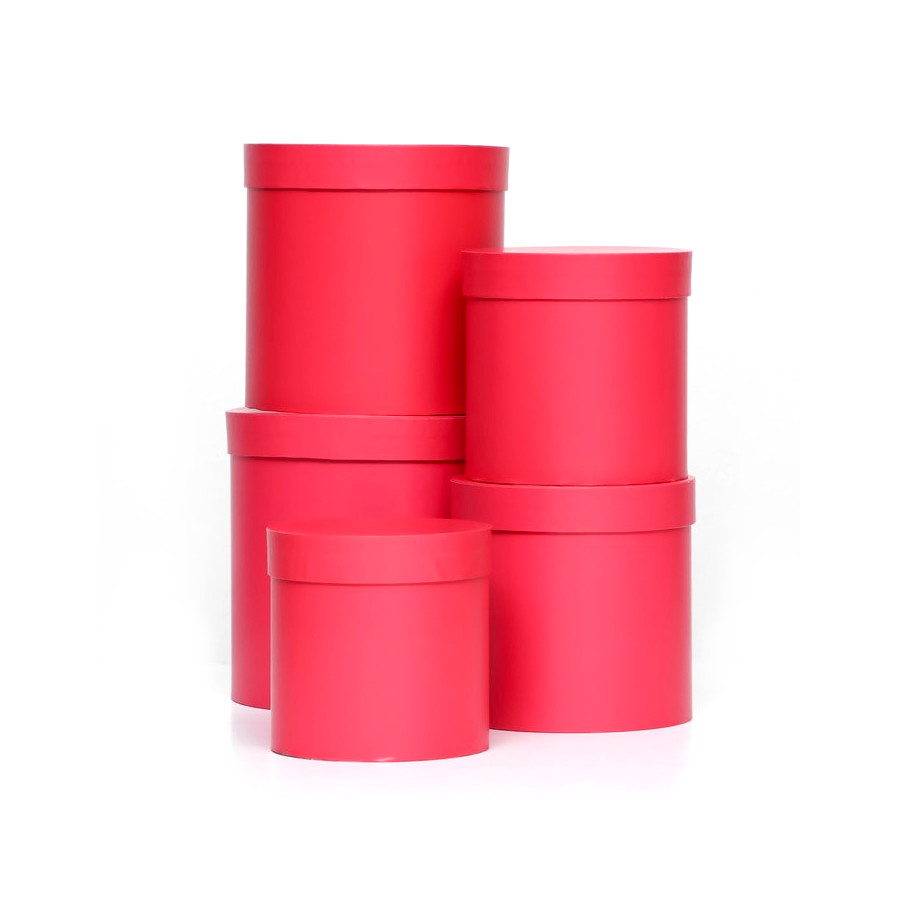 

Набор шляпных коробок 5 в1 "Viva Magenta Panton 2023", 20 х 20 х 2014 х 14 х 14 см, Красный