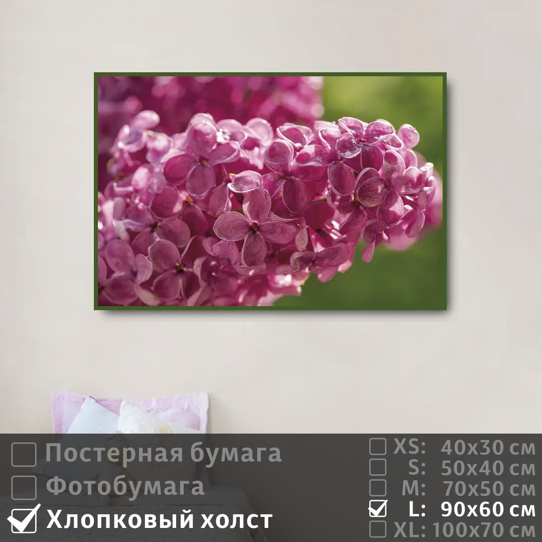 

Постер на холсте ПолиЦентр Ветка сирени с каплями 90х60 см, ВеткаСирениСКаплями