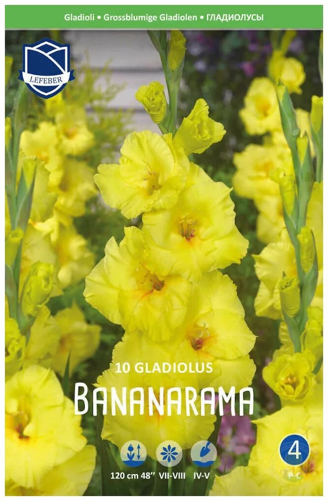 Луковица Lefeber Гладиолус Бананарама гибридный, 10 шт.