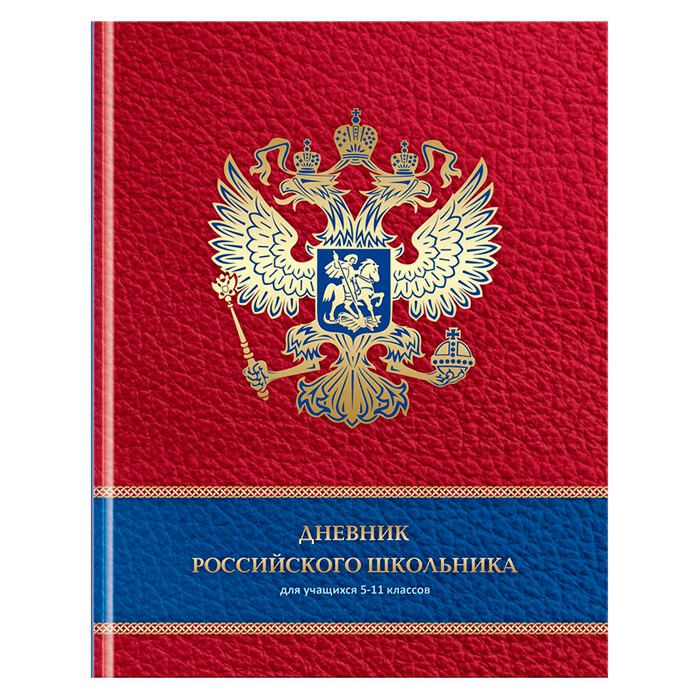 

Дневники для старших классов БиДжи дневник школьный российского школьника 48 л