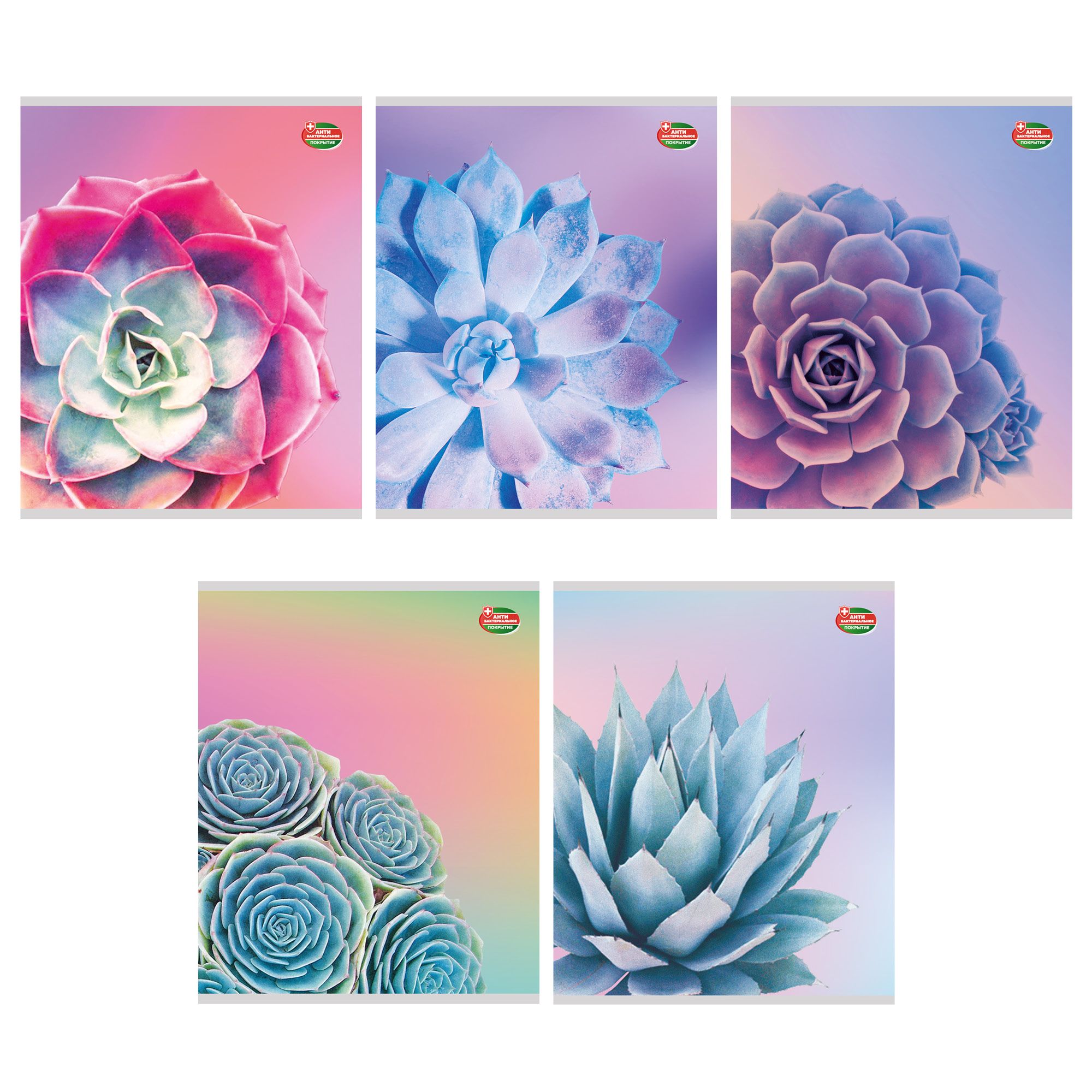 

Тетрадь общая Суккуленты 80 листов А5 на спирали в клетку