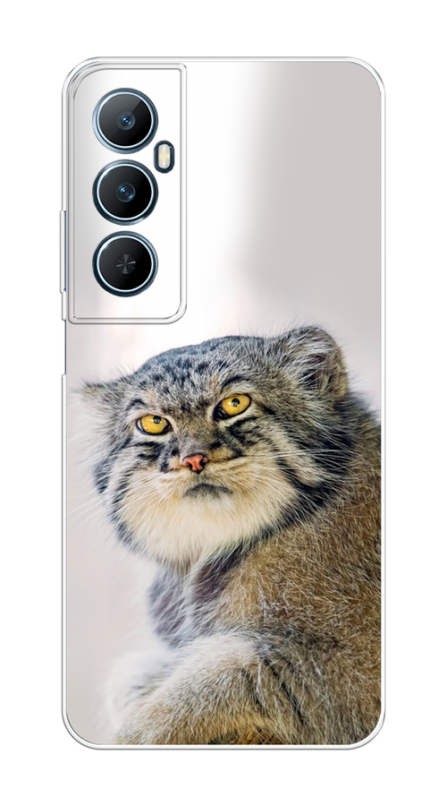 

Чехол на Realme C65 "Кот манул 1", Серый;белый;желтый, 2516750-1