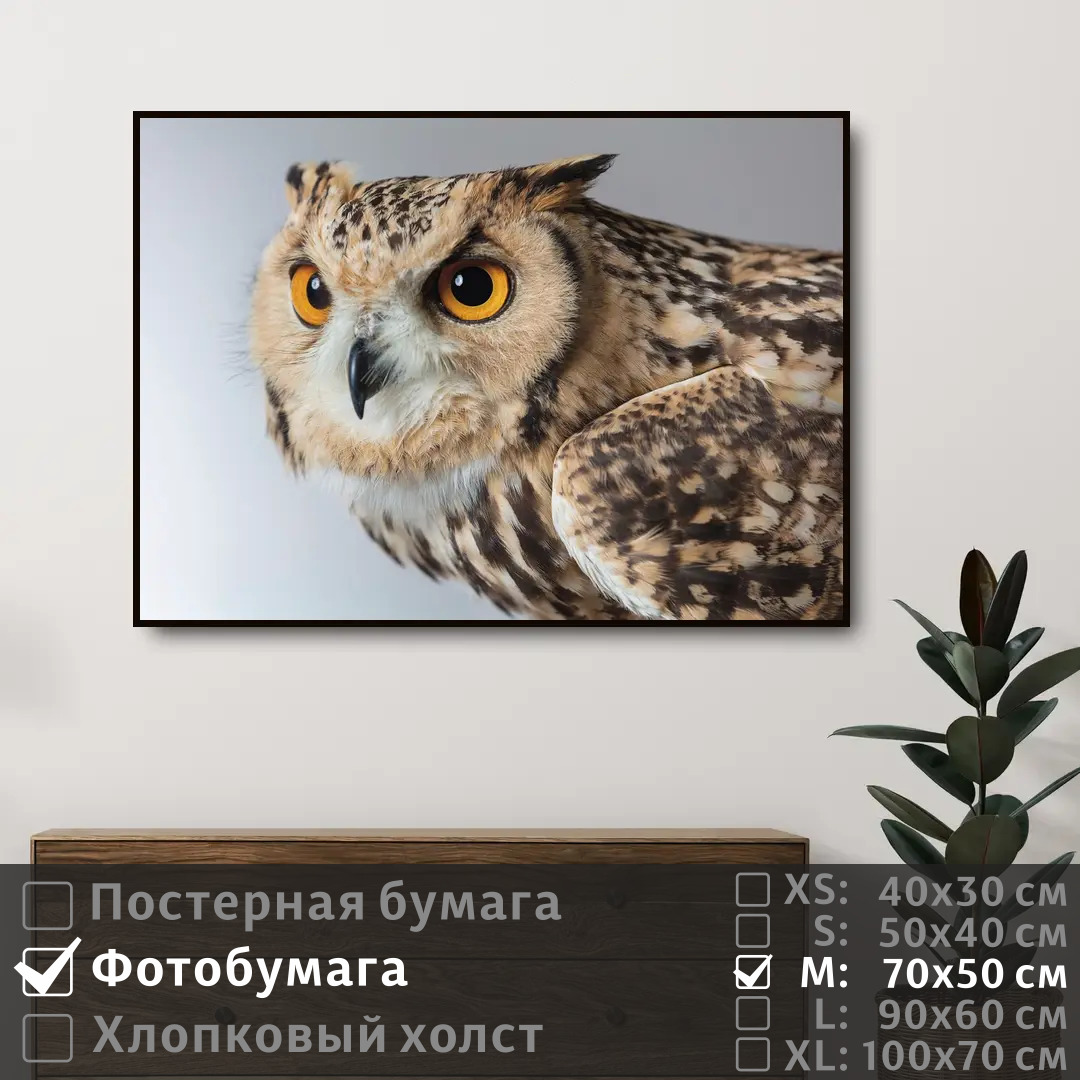

Постер на фотобумаге ПолиЦентр Сова следит глазами 70х50 см, СоваСледитГлазами