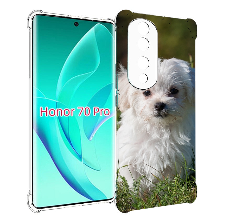 

Чехол MyPads мальтииская-болонка для Honor 70 Pro / 70 Pro Plus, Прозрачный, Tocco