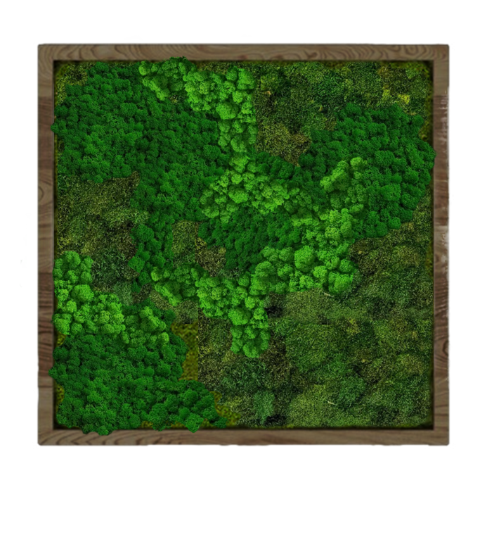 

Панно 90х90см для интерьера GardenGo из натурального стабилизированного мха зеленого цвета, 33