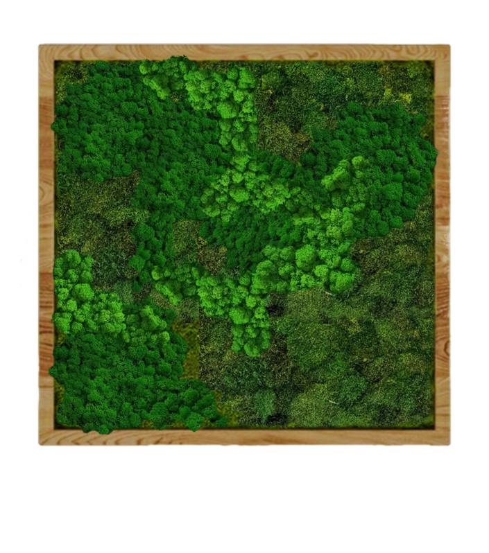 

Панно 90х90см для интерьера GardenGo из натурального стабилизированного мха зеленого цвета, 33