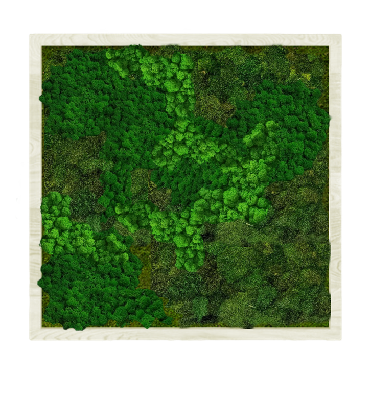 

Панно 120х120см для интерьера GardenGo из натурального стабилизированного мха, 33