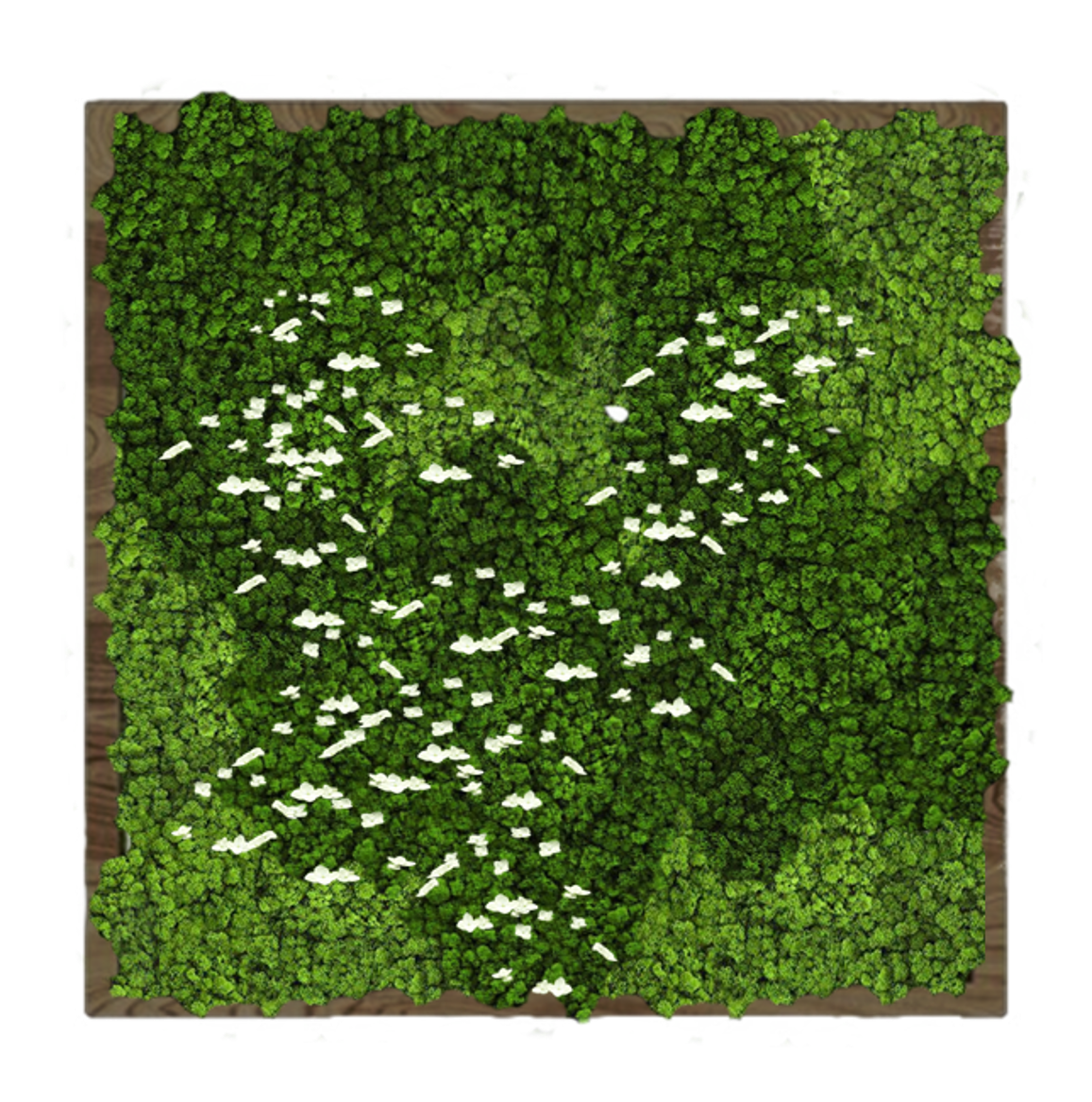 

Панно 120х120см для интерьера GardenGo из натурального стабилизированного мха, 29