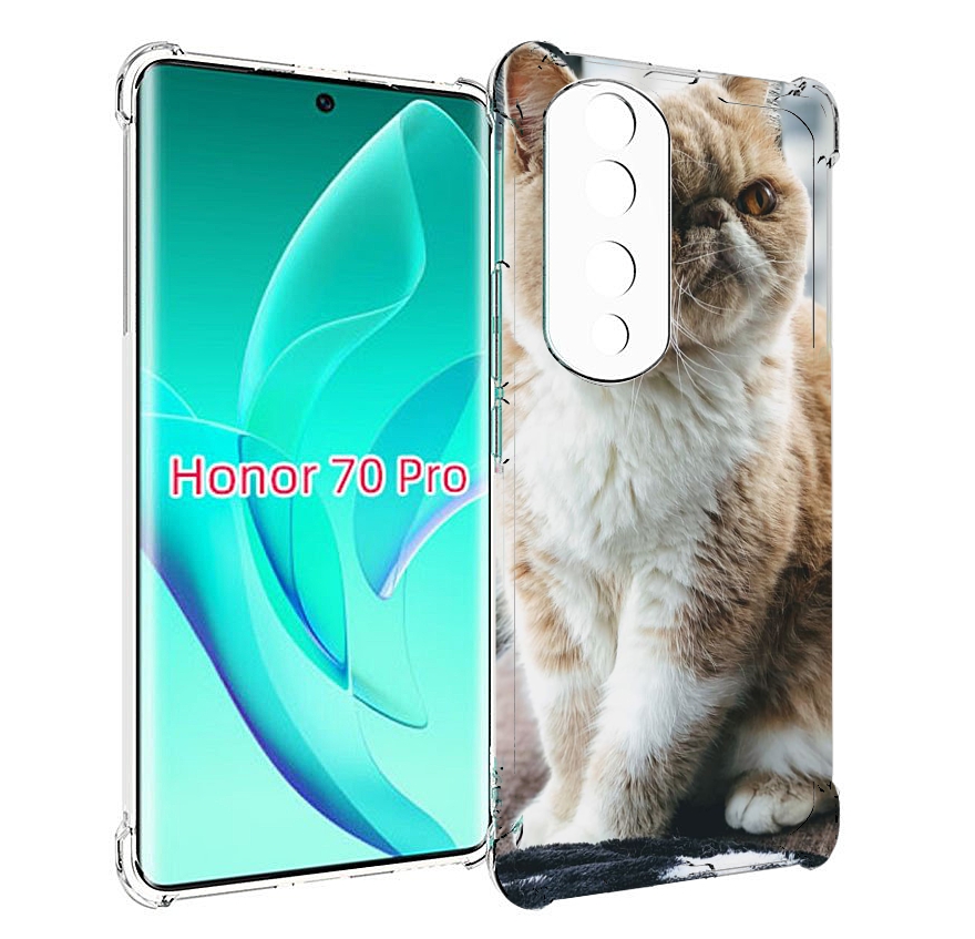 

Чехол MyPads кошка экзот для Honor 70 Pro / 70 Pro Plus, Прозрачный, Tocco