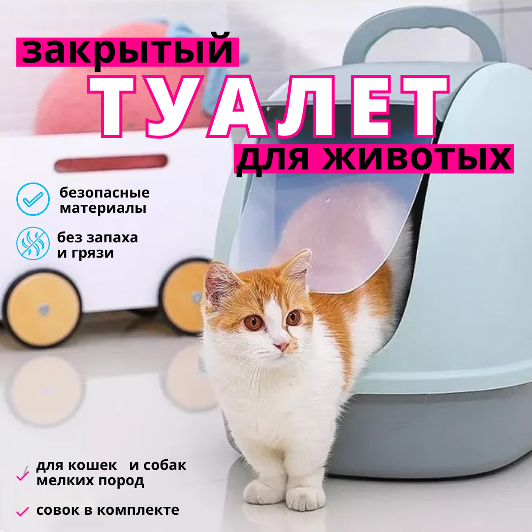 Лоток для кошек закрытый ZDK Care, голубой, пластик, 56х39х42см