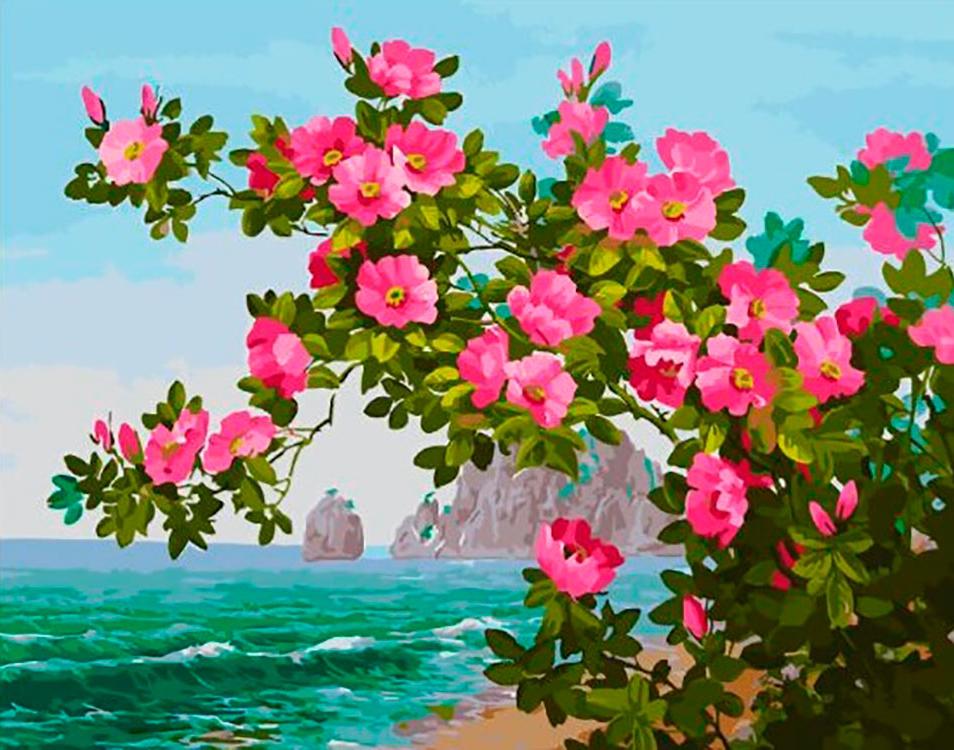 

Картина по номерам Paintboy Цветы у моря, 40x50 см, Цветы у моря