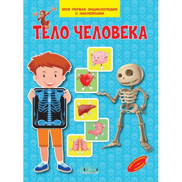 фото Книга тело человека. моя первая энциклопедия с наклейками вакоша