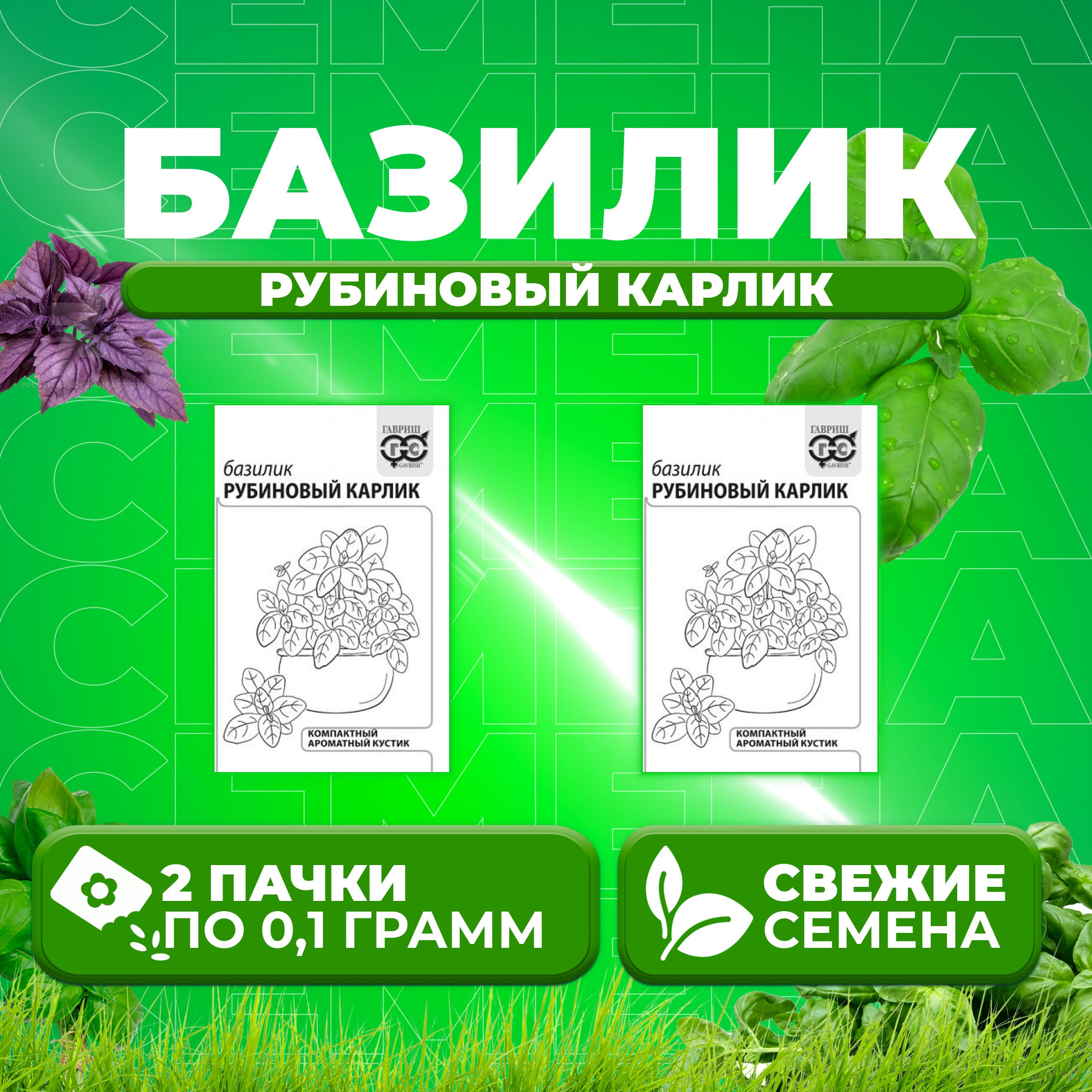 

Семена Базилик Рубиновый карлик, 0,1г, Гавриш, Белые пакеты 2 уп
