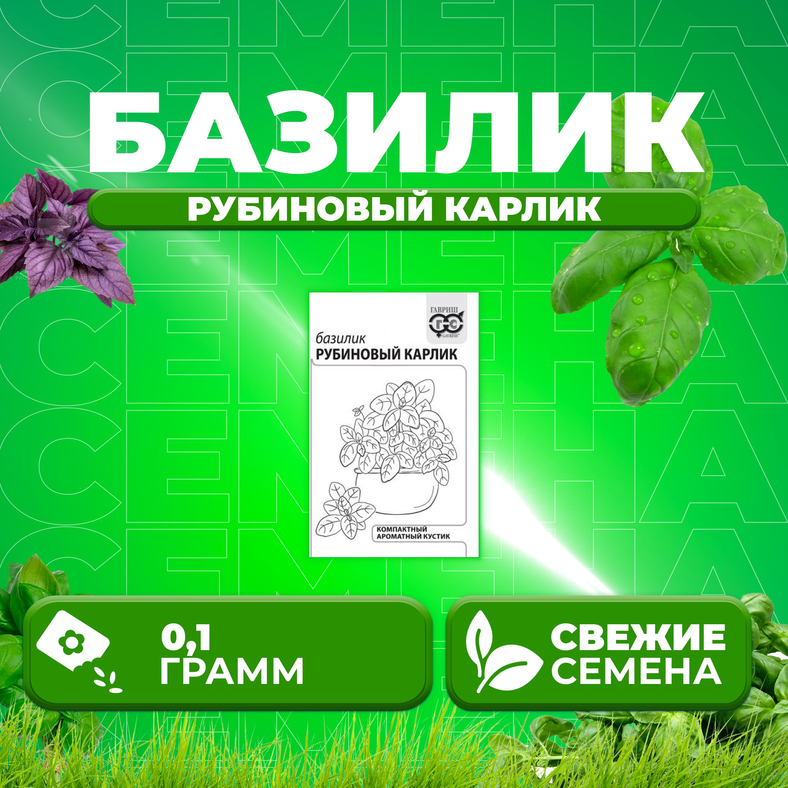 

Семена Базилик Рубиновый карлик, 0,1г, Гавриш, Белые пакеты 1 уп