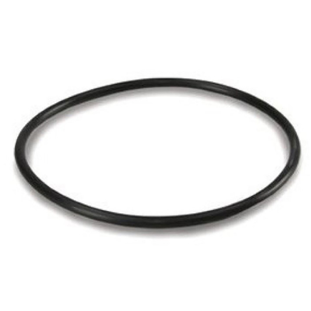 Уплотнительная прокладка-кольцо для колб фильтра BB тетра кольцо уплотнитель для фильтра ех2400
