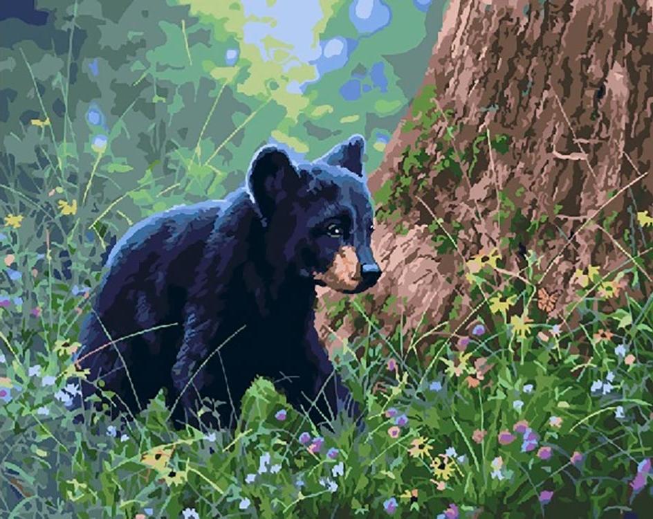 

Картина по номерам Paintboy Познаем мир, 40x50 см, Познаем мир