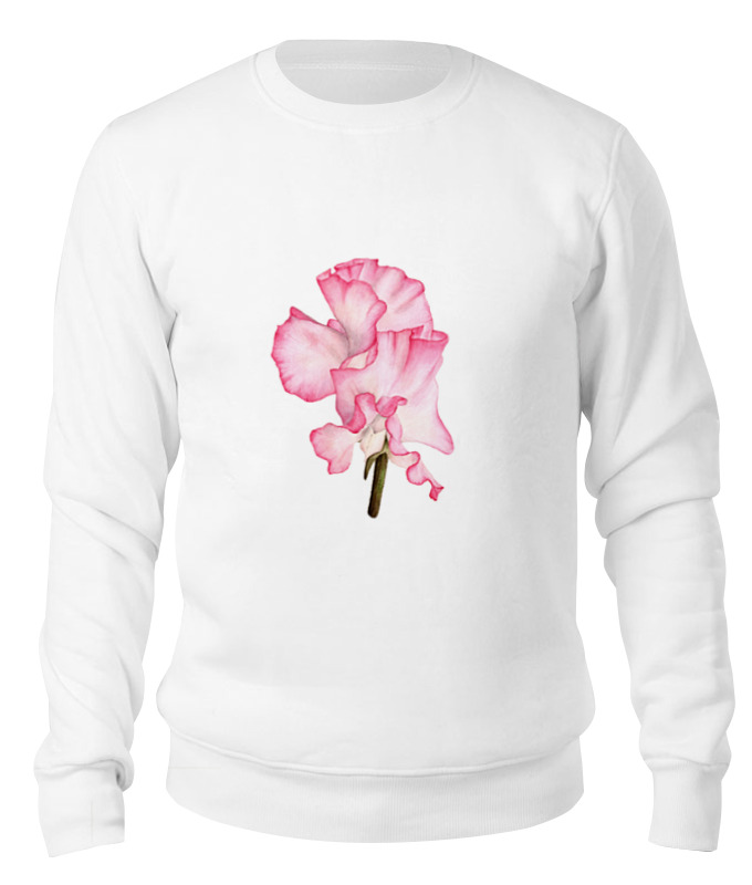 

Свитшот унисекс Printio Ботаническая иллюстрация цветок душистый горошек белый 2XL, Ботаническая иллюстрация цветок душистый горошек