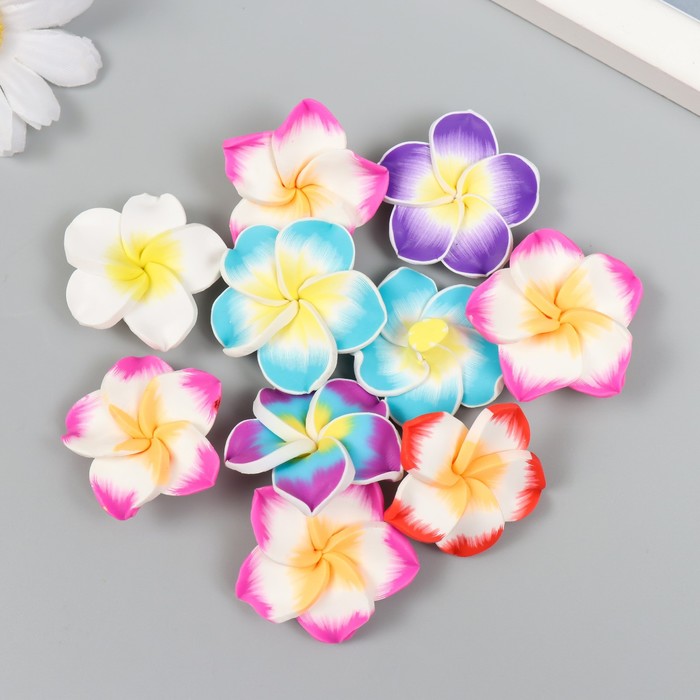 

Бусина для творчества PVC Плюмерия МИКС 1,1х3,3х3,3 см (10 шт.), Разноцветный