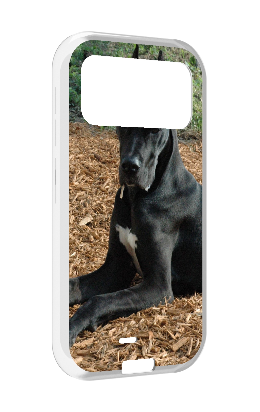 

Чехол MyPads немецкии дог для Oukitel F150 H2022, Прозрачный, Tocco