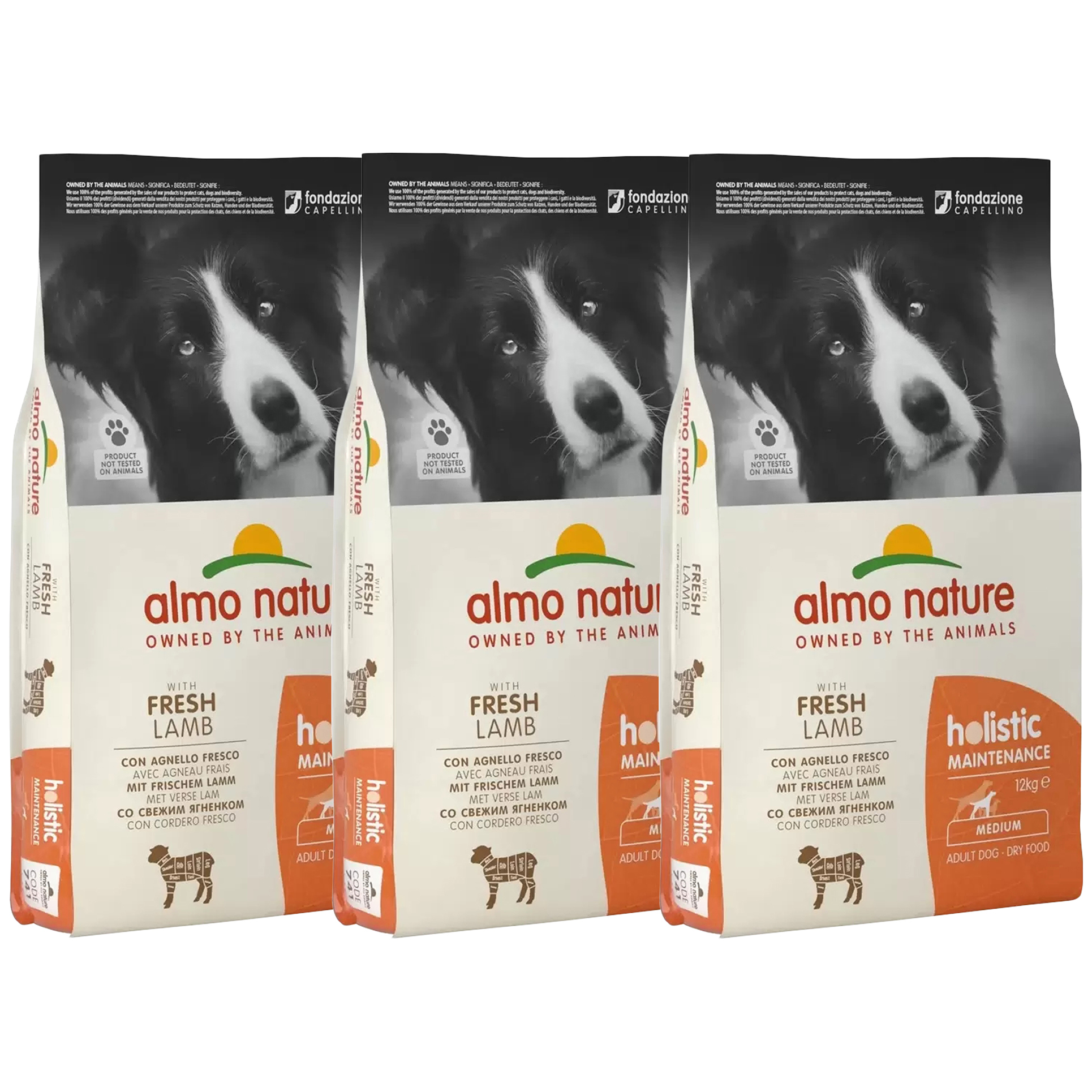 Сухой корм для собак средних пород Almo Nature с ягненком, 3 шт по 2 кг