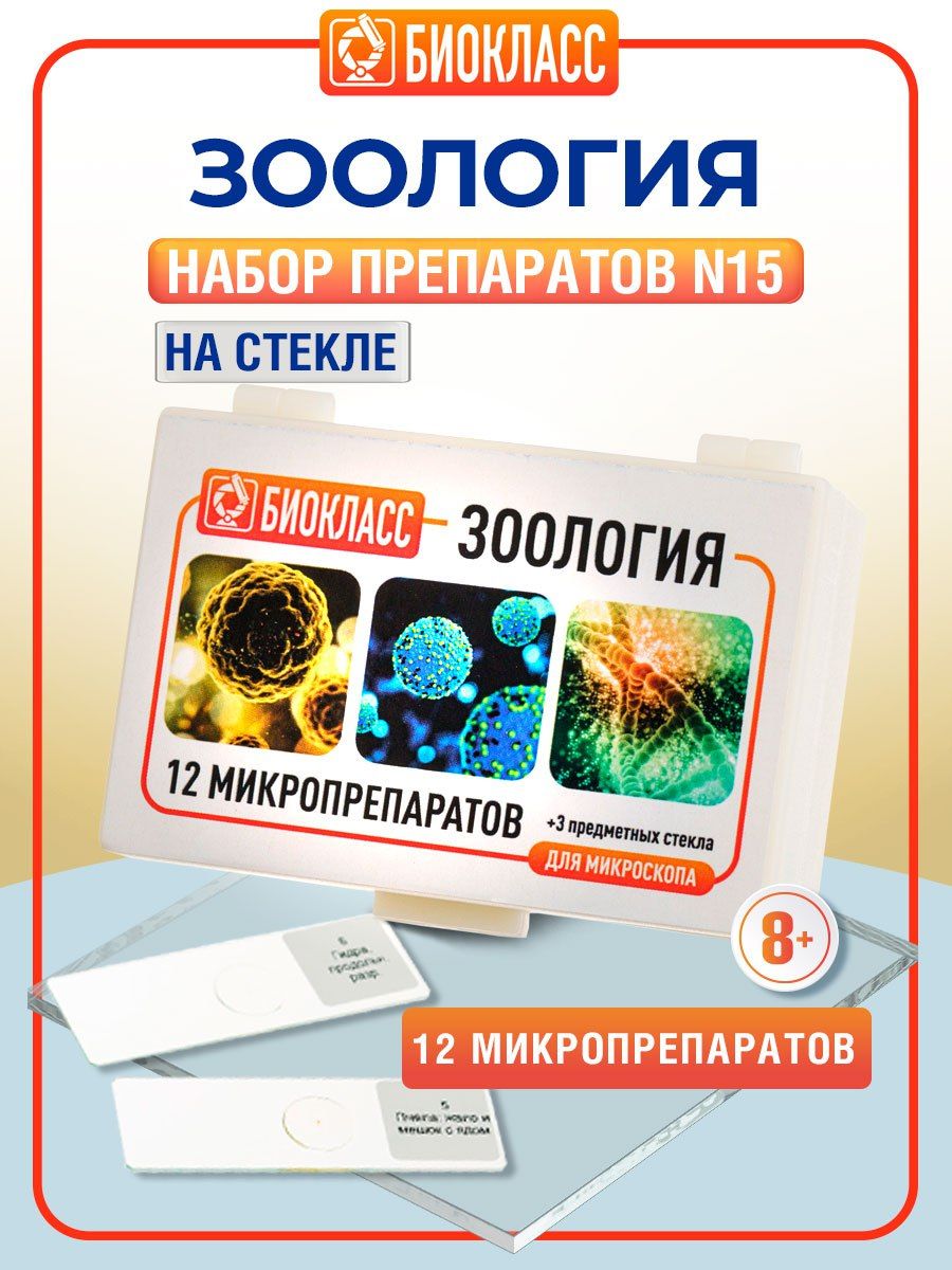 Набор микропрепаратов Биокласс для микроскопа, 12 предм штатив бокс для микропрепаратов и стекол биокласс коробка для микролаборатории на 50 ячеек