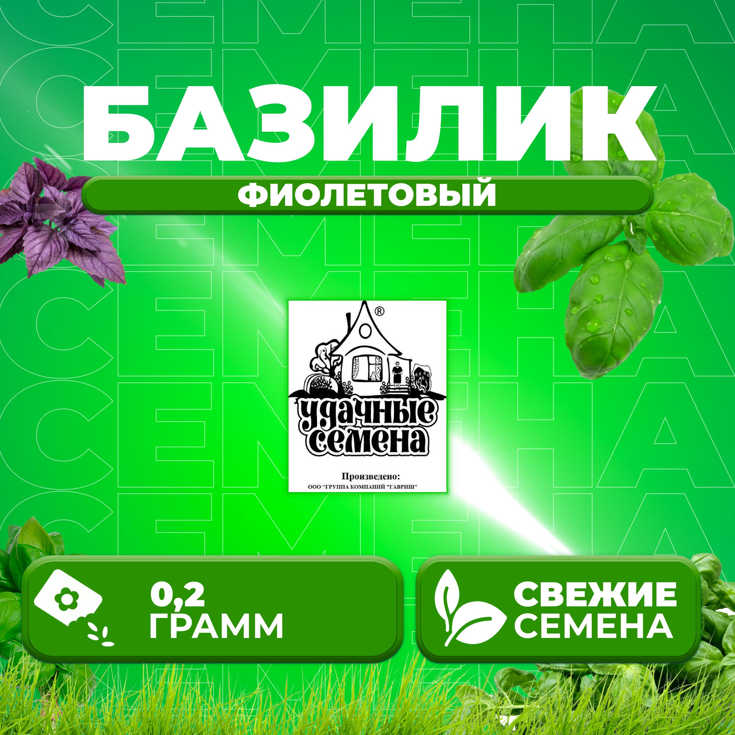 

Семена Базилик Фиолетовый, 0,2г, Удачные семена, Белые пакеты 1 уп