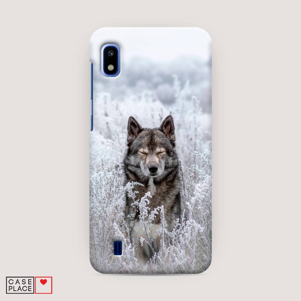 

Пластиковый чехол "Волк в поле" на Samsung Galaxy A10, 27920-1