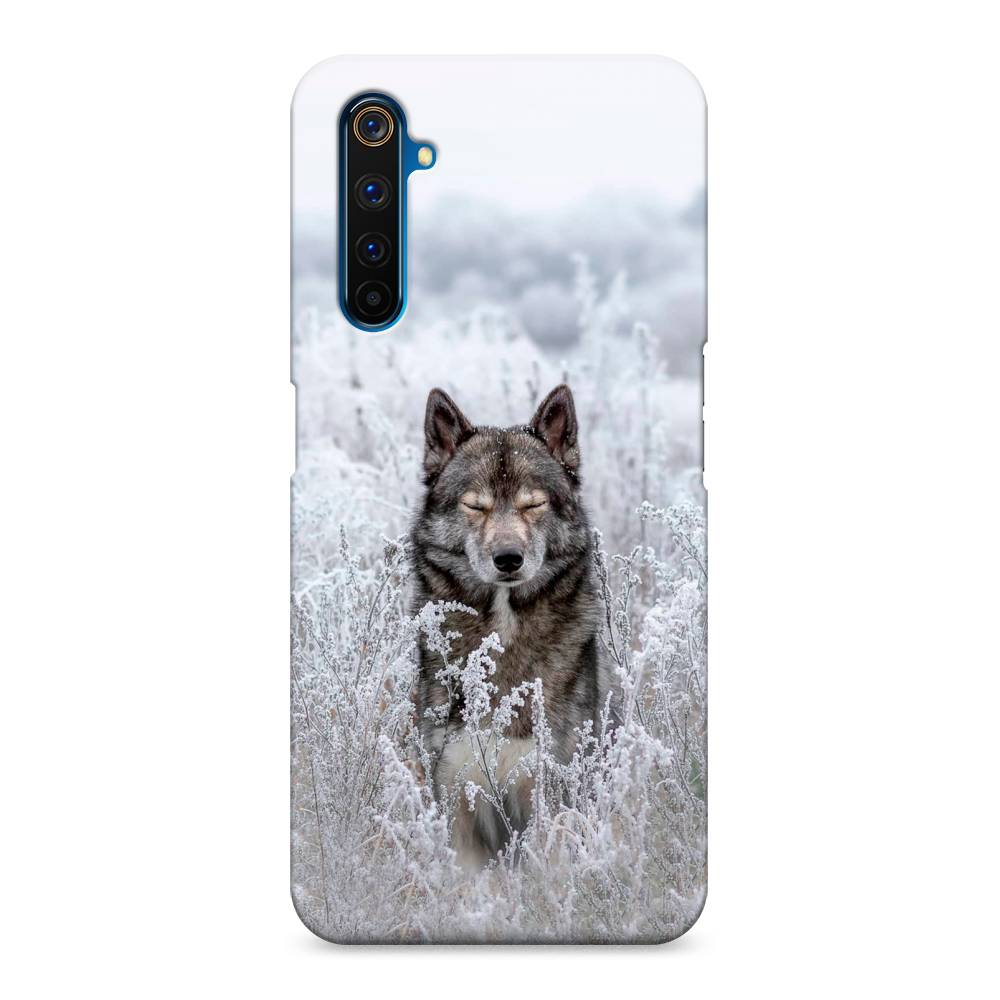 

Пластиковый чехол "Волк в поле" на Realme 6 Pro, 252820-1
