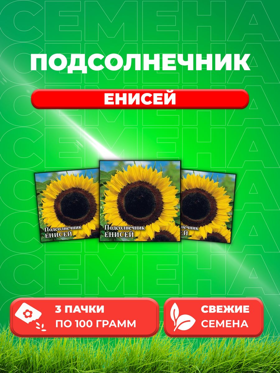 

Семена подсолнечник Гавриш Енисей 1999944129-3 3 уп.